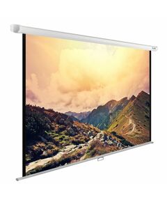 Купить Экран настенно-потолочный рулонный Cactus CS-PSWE-240x180-WT WallExpert, 180x240см, 4:3 в Иркутске в компании Зеон