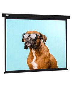 Купить Экран настенно-потолочный рулонный Cactus CS-PSW-183X244-BK Wallscreen, 183x244см, 4:3, черный в Иркутске в компании Зеон