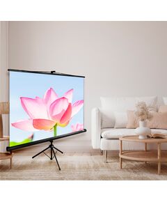 Купить Экран напольный рулонный Cactus CS-PST-104x186 Triscreen, 104.4x186см, 16:9, черный, картинка № 2 в Иркутске в компании Зеон