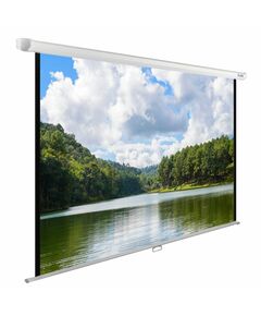 Купить Экран настенно-потолочный рулонный Cactus CS-PSWE-240x150-WT WallExpert, 150x240см, 16:10 в Иркутске в компании Зеон