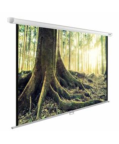 Купить Экран настенно-потолочный рулонный Cactus CS-PSWE-220x220-WT WallExpert, 220x220см, 1:1 в Иркутске в компании Зеон