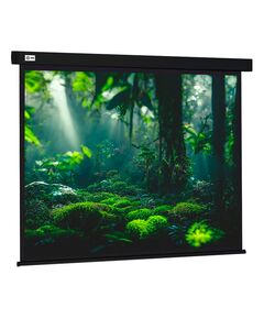 Купить Экран настенно-потолочный рулонный Cactus CS-PSW-213X213-BK Wallscreen, 213x213см, 1:1, черный в Иркутске в компании Зеон