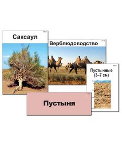 Купить Модель-аппликация "Природные зоны России" (ламинированная) в Иркутске в компании Зеон