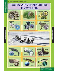 Купить Таблицы демонстрационные "Окружающий мир 4 кл." в Иркутске в компании Зеон