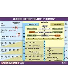 Купить Таблица демонстрационная "Сравнение понятий изомер и гомолог" (винил 70x100) в Иркутске в компании Зеон