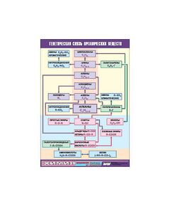 Купить Таблица демонстрационная "Генетическая связь органических веществ" (винил 100x140) в Иркутске в компании Зеон
