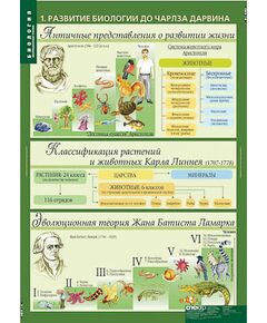 Купить Таблицы демонстрационные "Биология 10-11 классы. Эволюционное учение" в Иркутске в компании Зеон