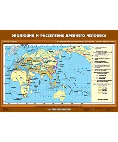 Купить Учебн. карта "Эволюция и расселение древнего человека" (70*100) в Иркутске в компании Зеон