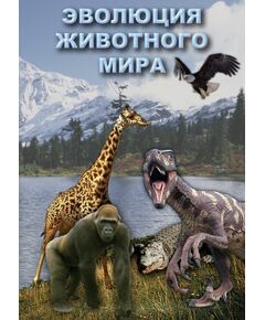 Купить Компакт-диск "Эволюция животного мира" в Иркутске в компании Зеон