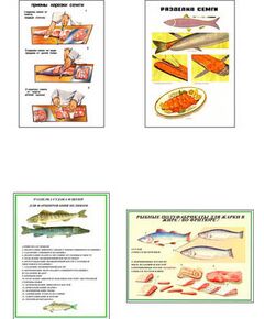 Купить Плакаты ПРОФТЕХ "Разделка и обработка рыбной продукции" (8 пл, винил, 70х100) в Иркутске в компании Зеон