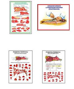 Купить Плакаты ПРОФТЕХ "Разделка мяса" (8 пл, винил, 70х100) в Иркутске в компании Зеон