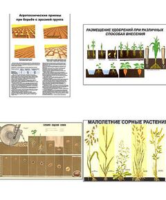 Купить Плакаты ПРОФТЕХ "Агрономия" (5 пл, винил, 70х100) в Иркутске в компании Зеон