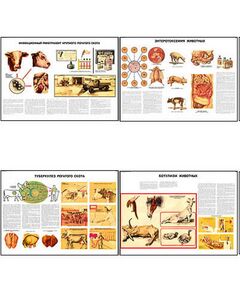 Купить Плакаты ПРОФТЕХ "Меры борьбы с заразными заболеваниями с/х животных и птицы" (23 пл, винил, 70х100) в Иркутске в компании Зеон