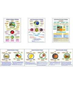 Купить Плакаты ПРОФТЕХ "Плоды" (6 пл, винил, 70х100) в Иркутске в компании Зеон