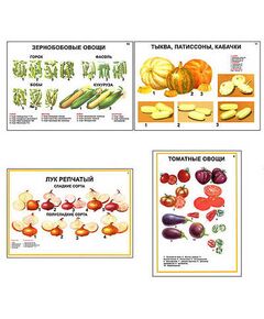 Купить Плакаты ПРОФТЕХ "Ассортимент овощных культур" (12 пл, винил, 70х100) в Иркутске в компании Зеон