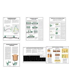 Купить Плакаты ПРОФТЕХ "Полезащитные лесные полосы" (6 пл, винил, 70х100) в Иркутске в компании Зеон