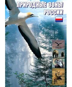 Купить Компакт-диск "Природные зоны мира" в Иркутске в компании Зеон