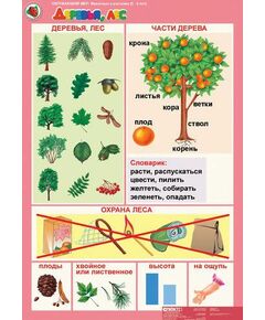 Купить Окружающий мир 5-6 лет. "Животные и растения". в Иркутске в компании Зеон