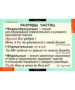 Купить Русский язык. Частицы и междометия, картинка № 2 в Иркутске в компании Зеон