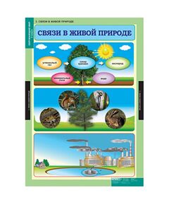 Купить Окружающий мир 3 класс, картинка № 3 в Иркутске в компании Зеон