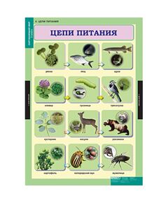 Купить Окружающий мир 3 класс, картинка № 4 в Иркутске в компании Зеон