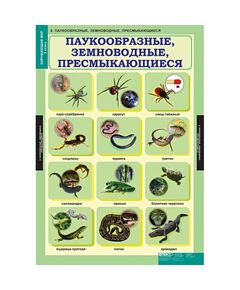 Купить Окружающий мир 3 класс, картинка № 6 в Иркутске в компании Зеон