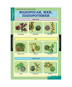 Купить Окружающий мир 3 класс, картинка № 8 в Иркутске в компании Зеон