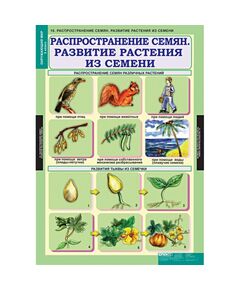 Купить Окружающий мир 3 класс, картинка № 10 в Иркутске в компании Зеон