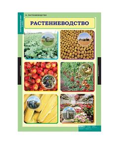 Купить Окружающий мир 3 класс, картинка № 12 в Иркутске в компании Зеон