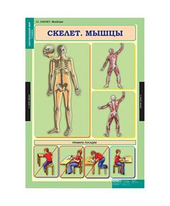 Купить Окружающий мир 3 класс, картинка № 13 в Иркутске в компании Зеон