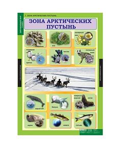 Купить Окружающий мир 4 класс в Иркутске в компании Зеон