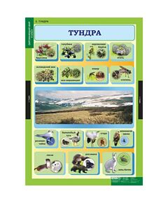 Купить Окружающий мир 4 класс, картинка № 2 в Иркутске в компании Зеон