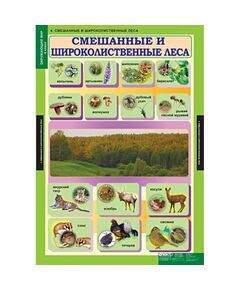 Купить Окружающий мир 4 класс, картинка № 4 в Иркутске в компании Зеон