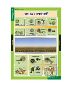 Купить Окружающий мир 4 класс, картинка № 5 в Иркутске в компании Зеон