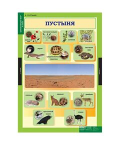 Купить Окружающий мир 4 класс, картинка № 6 в Иркутске в компании Зеон