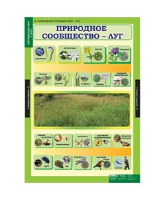 Купить Окружающий мир 4 класс, картинка № 8 в Иркутске в компании Зеон