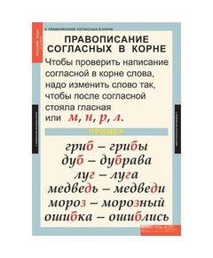 Купить Русский язык 1 класс, картинка № 4 в Иркутске в компании Зеон