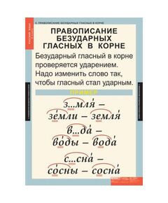 Купить Русский язык 1 класс, картинка № 5 в Иркутске в компании Зеон