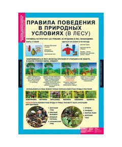 Купить Основы безопасности жизнедеятельности 1-4 классы, картинка № 5 в Иркутске в компании Зеон