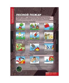 Купить Основы безопасности жизнедеятельности, картинка № 8 в Иркутске в компании Зеон