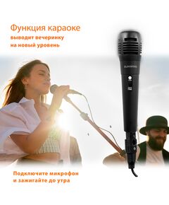 Купить Минисистема SunWind SW-MS50 45Вт FM USB BT SD/MMC, картинка № 29 в Иркутске в компании Зеон