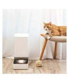 Умные устройства: Умная автоматическая кормушка Xiaomi Smart Pet Food Feeder [BHR6143EU] фотографии