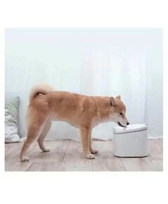 Умные устройства: Умная автоматическая поилка Xiaomi Smart Pet Fountain [BHR6161EU] фотографии