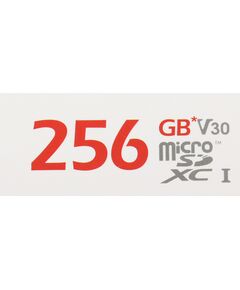 Купить Карта памяти microSDXC Hikvision 256Gb C1 V30 + адаптер [HS-TF-C1(STD)/256G/ADAPTER], картинка № 6 в Иркутске в компании Зеон