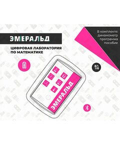 Купить Цифровая лаборатория Эмеральд для ученика (математика) [2.19.3] в Иркутске в компании Зеон