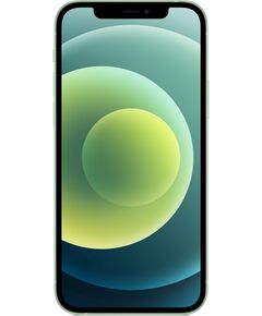 Купить Смартфон Apple iPhone 12 128/4Gb зеленый [MGJF3AA/A] в Иркутске в компании Зеон