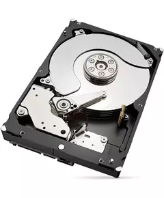 Купить Жесткий диск Seagate 6Tb NAS Ironwolf 4KN SATA-III 5400rpm 256Mb 3.5" [ST6000VN006], картинка № 4 в Иркутске в компании Зеон