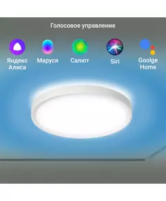 Купить Умный светильник Digma TL40 TopLight, потолочный, белый, картинка № 10 в Иркутске в компании Зеон