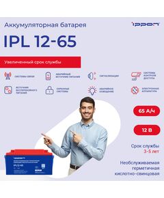 Купить Батарея для ИБП Ippon IPL12-65 12В 65Ач, картинка № 2 в Иркутске в компании Зеон