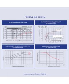 Купить Батарея для ИБП Ippon IPL12-65 12В 65Ач, картинка № 4 в Иркутске в компании Зеон